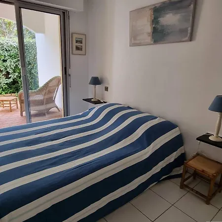 Apartment Arcachon, De Printemps - T2 Avec Jardin A 250m Des Plages - Fr-1-433-91 Arcachon